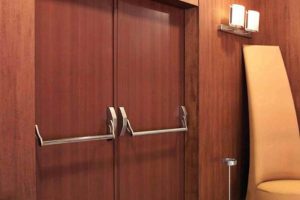 Двери для общественных пространств: функциональность, безопасность и эстетика